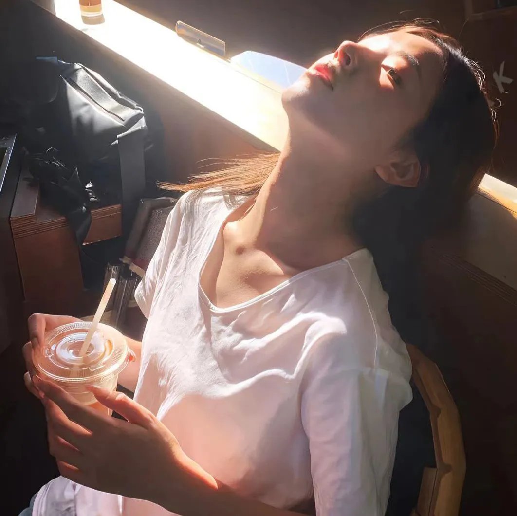完美的独裁国家