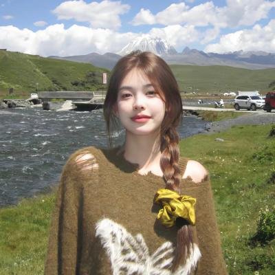 奈何寨主不好当